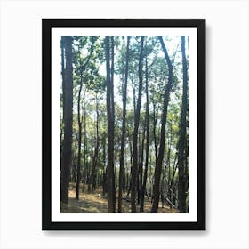 A Beautiful Forest 6 By Binod Dawadi Art Print