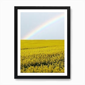 Field Yellow Flowers Rainbow Art Print