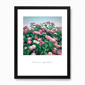 flower garden Art Print