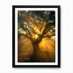 Tree Of Life 19 Art Print