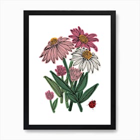 Echinachea Herb Flower Art Print