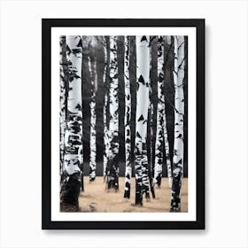 Birch Trees 46 Art Print