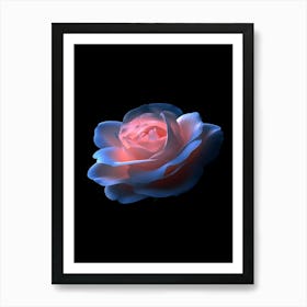 Rose Stock Videos & Royalty-Free Footage Art Print