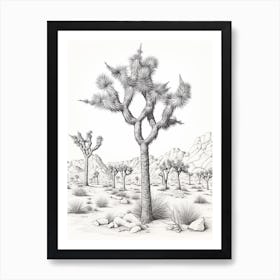  Detailed Drawing Of A Joshua Trees In Mojave Desert 2 Art Print