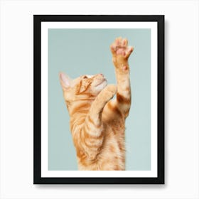 Cat Reaching For A Toy Art Print
