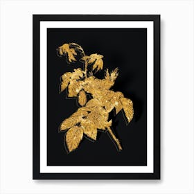 Vintage Apple Rose Botanical in Gold on Black n.0204 Art Print