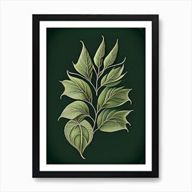 Willow Leaf Vintage Botanical Art Print