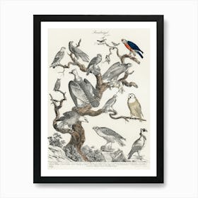 Birds In A Tree Art Print