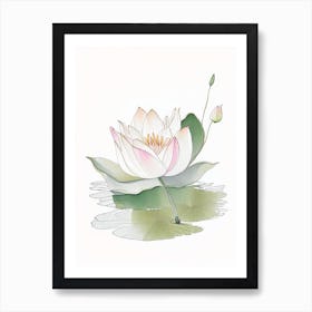 Blooming Lotus Flower In Pond Pencil Illustration 1 Art Print