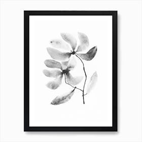 Black And White Flower Art Print