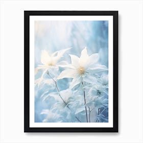 Frosty Botanical Poinsettia 6 Art Print