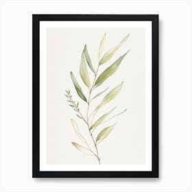 Willow Leaf Minimalist Watercolour 5 Art Print