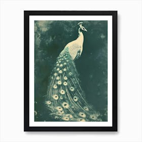 Vintage Peacock Photograph With Feathers Art Print