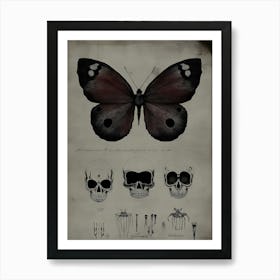 Dark Gothic Skulls And Butterflies Art Print