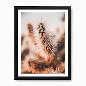 Spikey Cactus Sunset Art Print