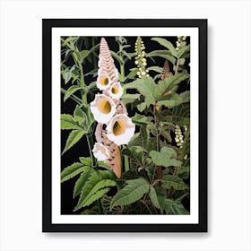 Flower Illustration Foxglove 1 Art Print