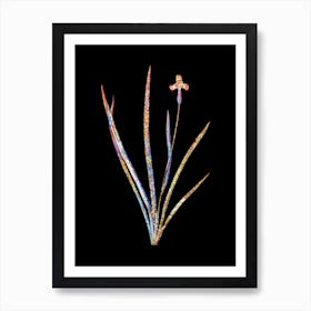Stained Glass Iris Martinicensis Mosaic Botanical Illustration on Black n.0339 Art Print