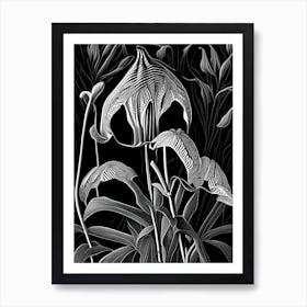 Jack In The Pulpit Wildflower Linocut 1 Art Print