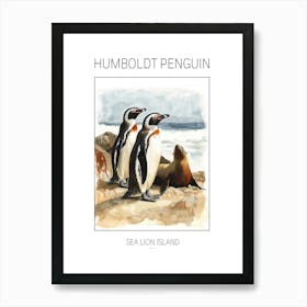 Humboldt Penguin Sea Lion Island Watercolour Painting 1 Poster Art Print