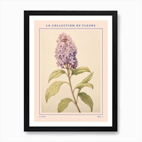 Lilac French Flower Botanical Poster Art Print