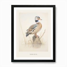Vintage Bird Drawing Wood Duck 1 Poster Art Print