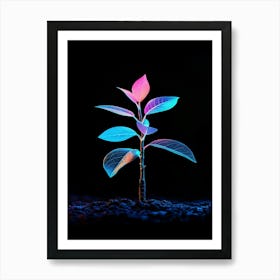 Plant In The Dark 10 Art Print