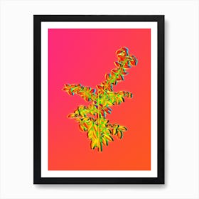 Neon Rock Buckthorn Botanical in Hot Pink and Electric Blue n.0306 Art Print