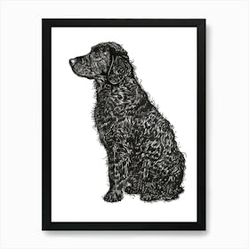 Curly Coated Retriever Dog Line Sketch Art Print