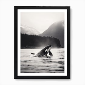 Black & White Icy Mountain Photography Style Of Orca Whale 2 Art Print