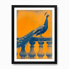 Orange & Blue Peacock On A Stone Balcony 2 Art Print