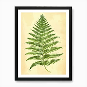 Vintage Illustration Wood Fern 2 Art Print