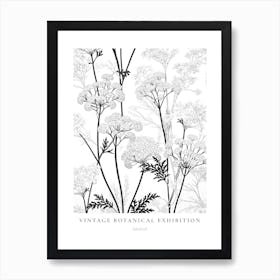 Daucus B&W Vintage Botanical Poster Art Print