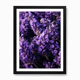 Lavender Flowers 3 Art Print