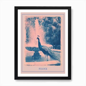 Pink & Blue Peacock In The Fountain Poster Art Print