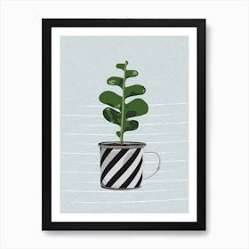 Succulent Plant 3 Art Print