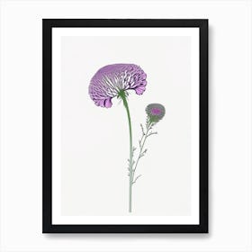 Scabiosa Floral Minimal Line Drawing 3 Flower Art Print