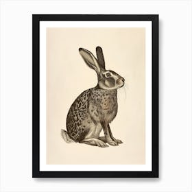 Belgian Hare Blockprint Illustration 9 Art Print