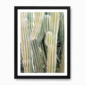 Cacti Vibes Art Print