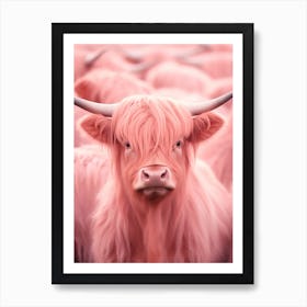 Pink Realistic Photography Of Highland Cows 3 Art Print