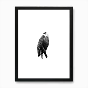 Bald Eagle Perched Digital Illustration Art Print