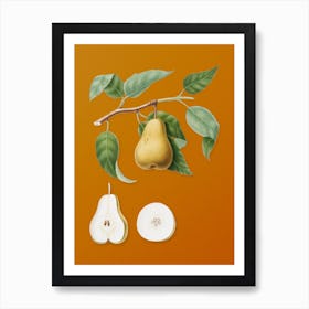 Vintage Pear Botanical on Sunset Orange n.0532 Art Print