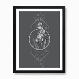 Vintage Dalmatian Iris Botanical with Line Motif and Dot Pattern in Ghost Gray Art Print
