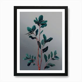 Eucalyptus 2 Art Print