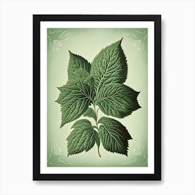 Mint Leaf Vintage Botanical 2 Art Print