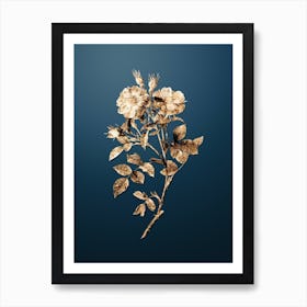 Gold Botanical Queen Elizabeth's Sweetbriar Rose on Dusk Blue n.2527 Art Print