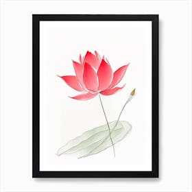 Red Lotus Pencil Illustration 3 Art Print