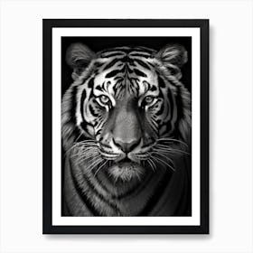 Black And White Photograph Of A Tiger Face Art Print