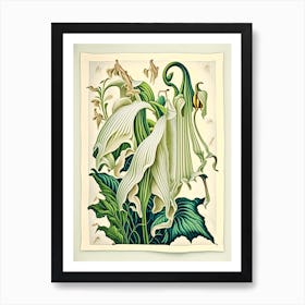 Angel'S Trumpet 1 Floral Botanical Vintage Poster Flower Art Print