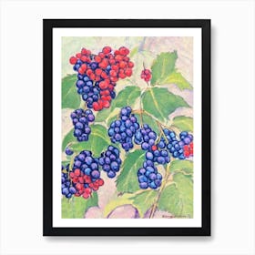 Boysenberry 1 Vintage Sketch Fruit Art Print