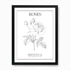 Roses Sketch 14 Poster Art Print